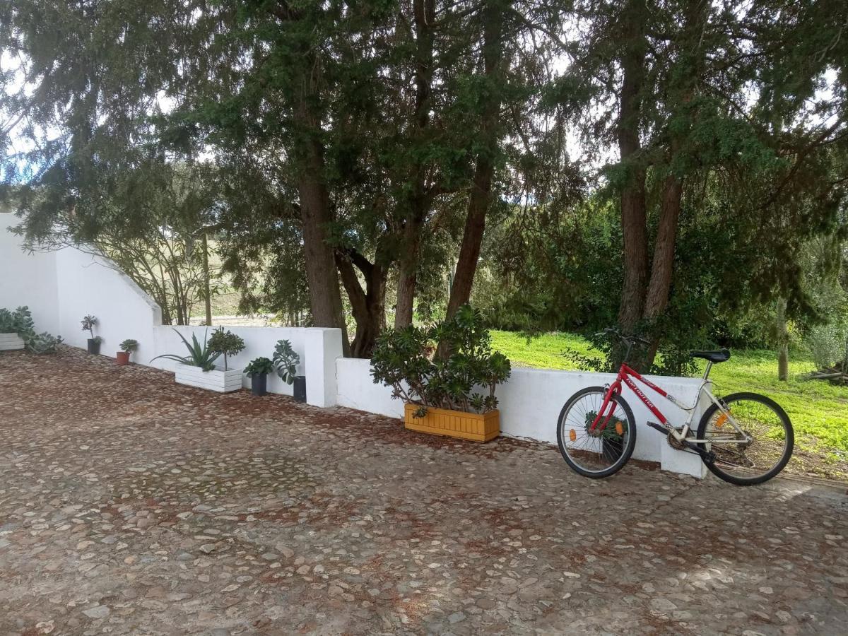 Monte Da Samarra Villa Avis Kültér fotó