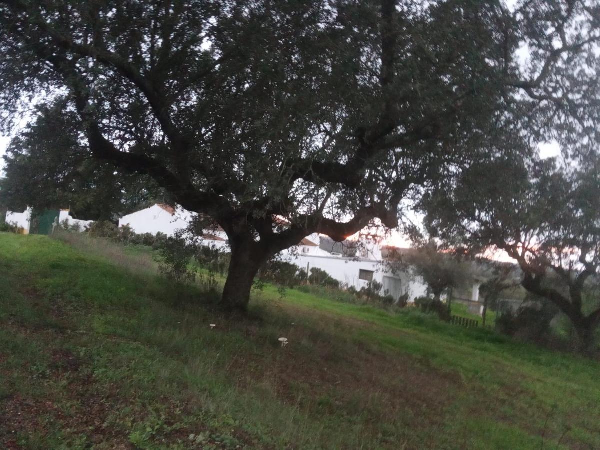 Monte Da Samarra Villa Avis Kültér fotó