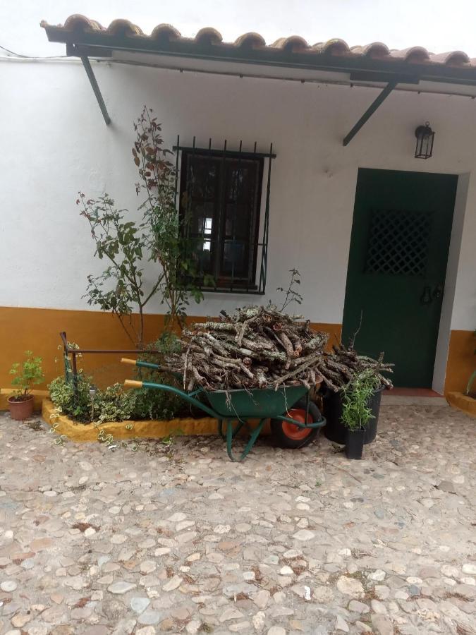 Monte Da Samarra Villa Avis Kültér fotó