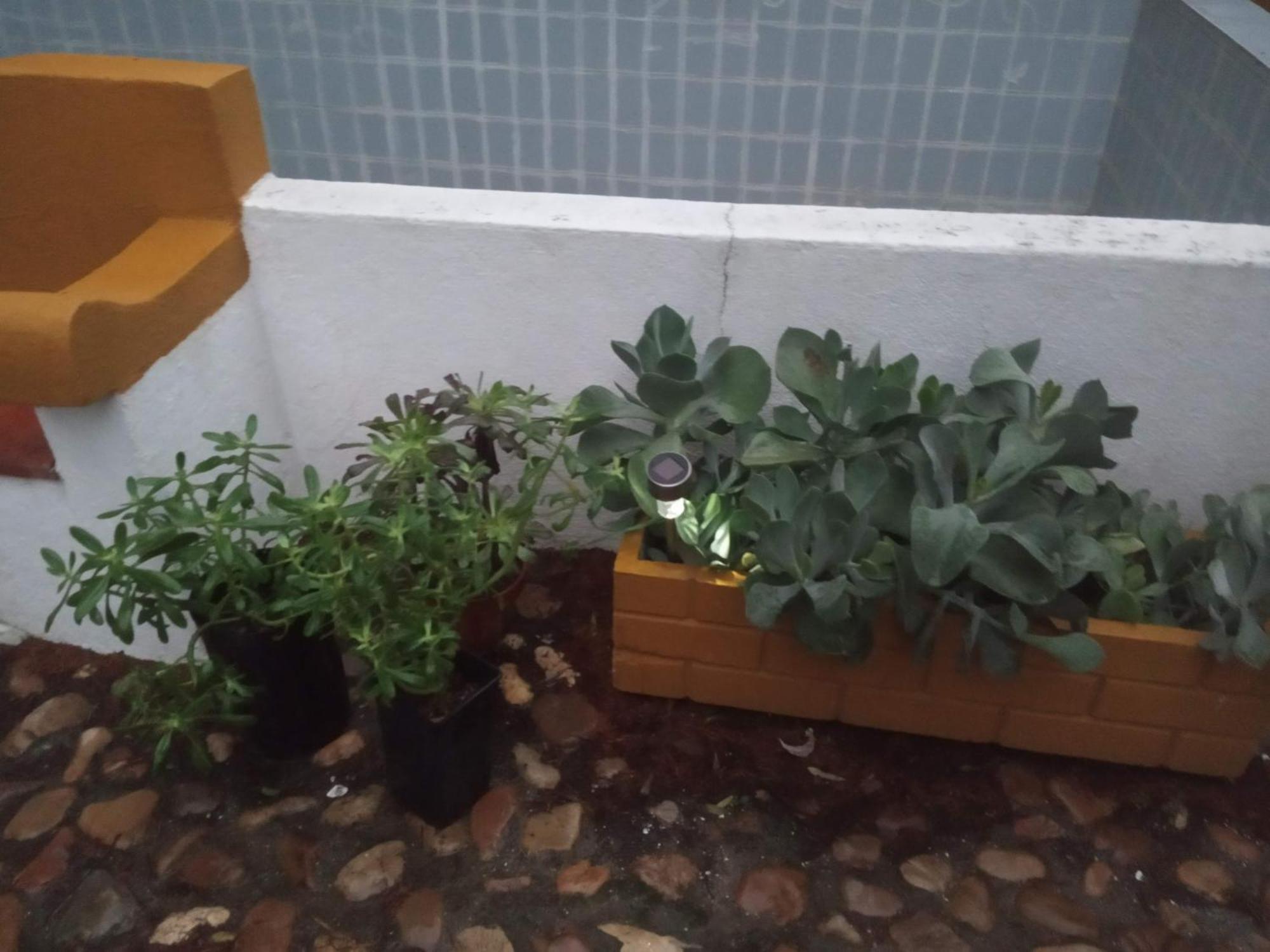 Monte Da Samarra Villa Avis Kültér fotó