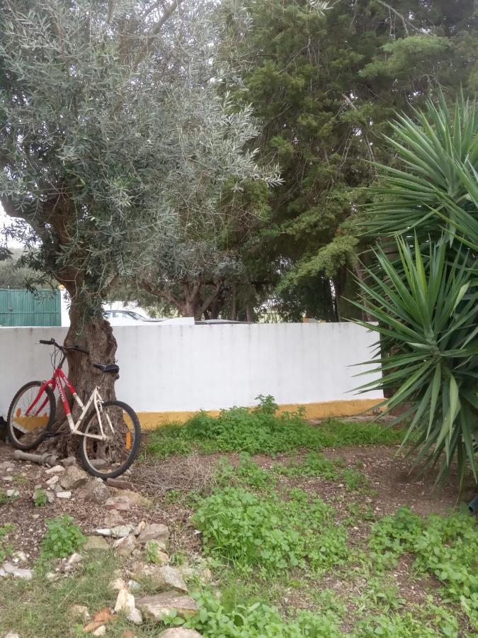 Monte Da Samarra Villa Avis Kültér fotó