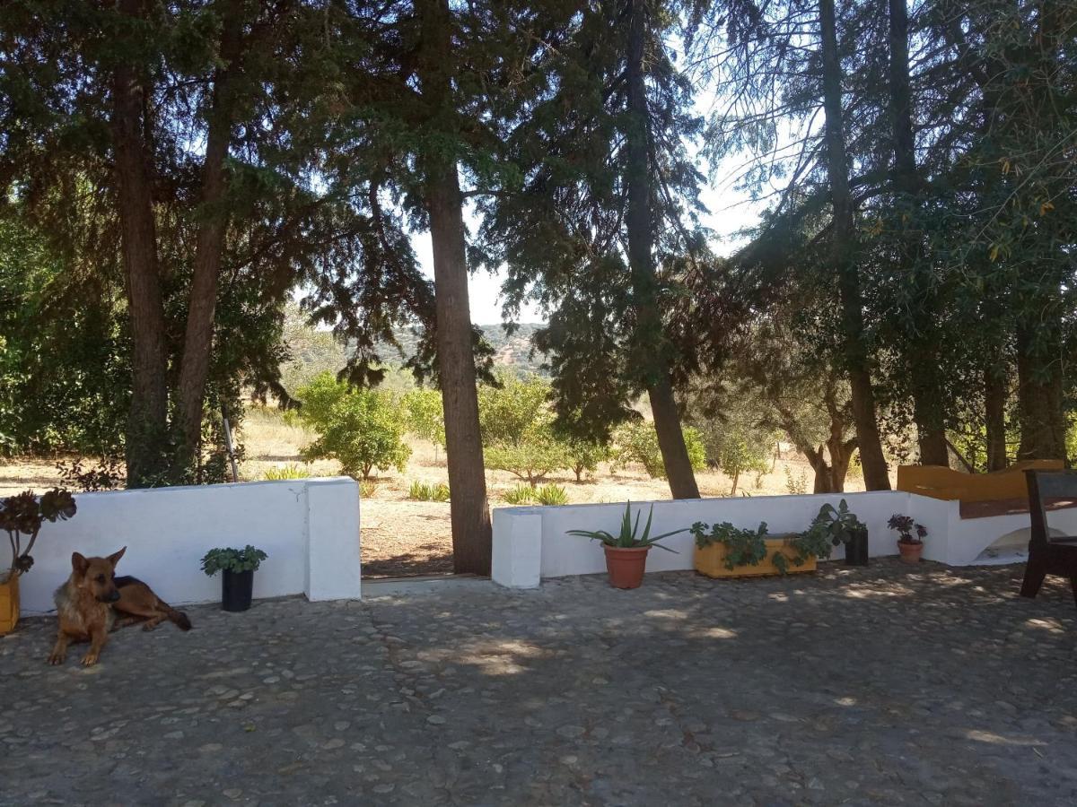 Monte Da Samarra Villa Avis Kültér fotó