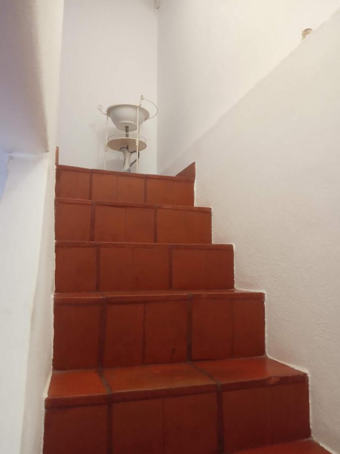 Monte Da Samarra Villa Avis Kültér fotó