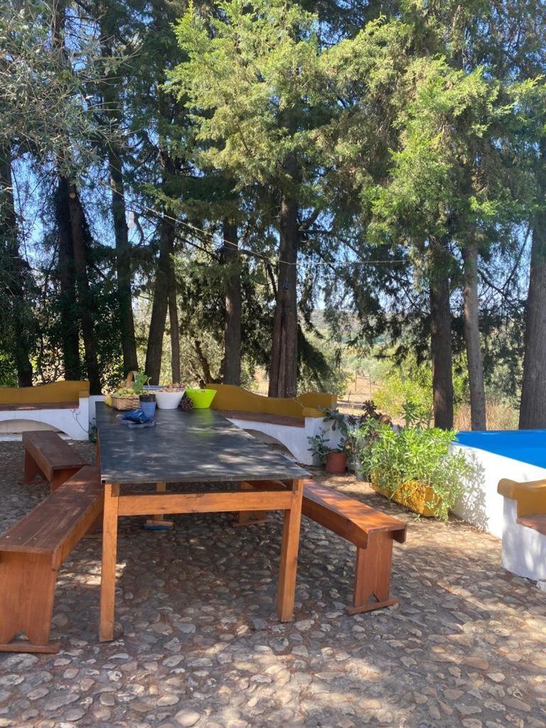 Monte Da Samarra Villa Avis Kültér fotó