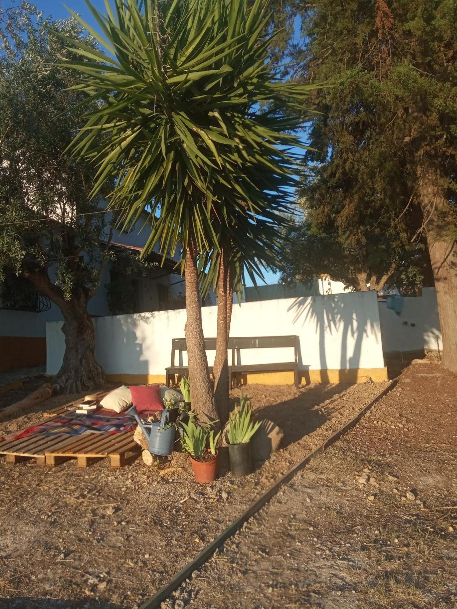 Monte Da Samarra Villa Avis Kültér fotó