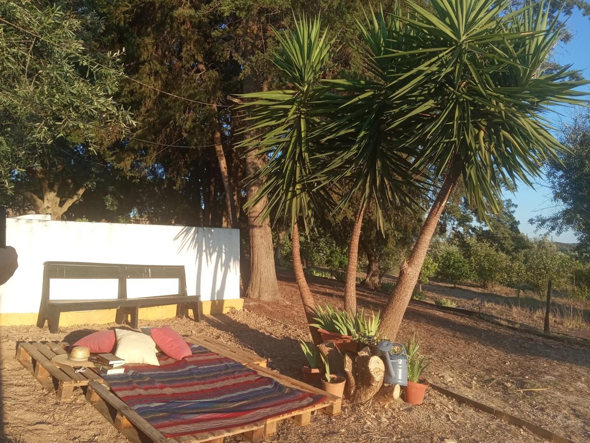 Monte Da Samarra Villa Avis Kültér fotó