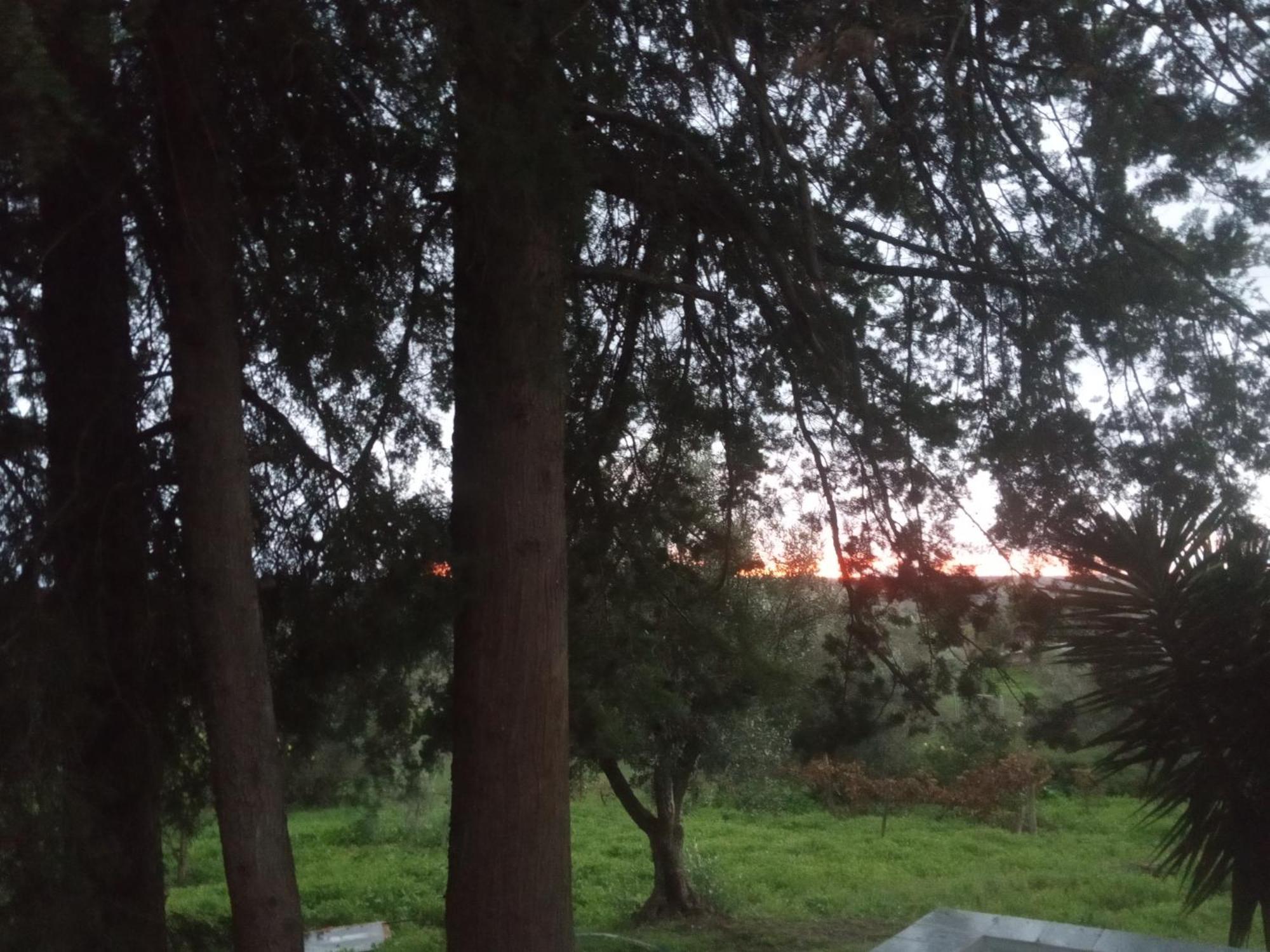 Monte Da Samarra Villa Avis Kültér fotó