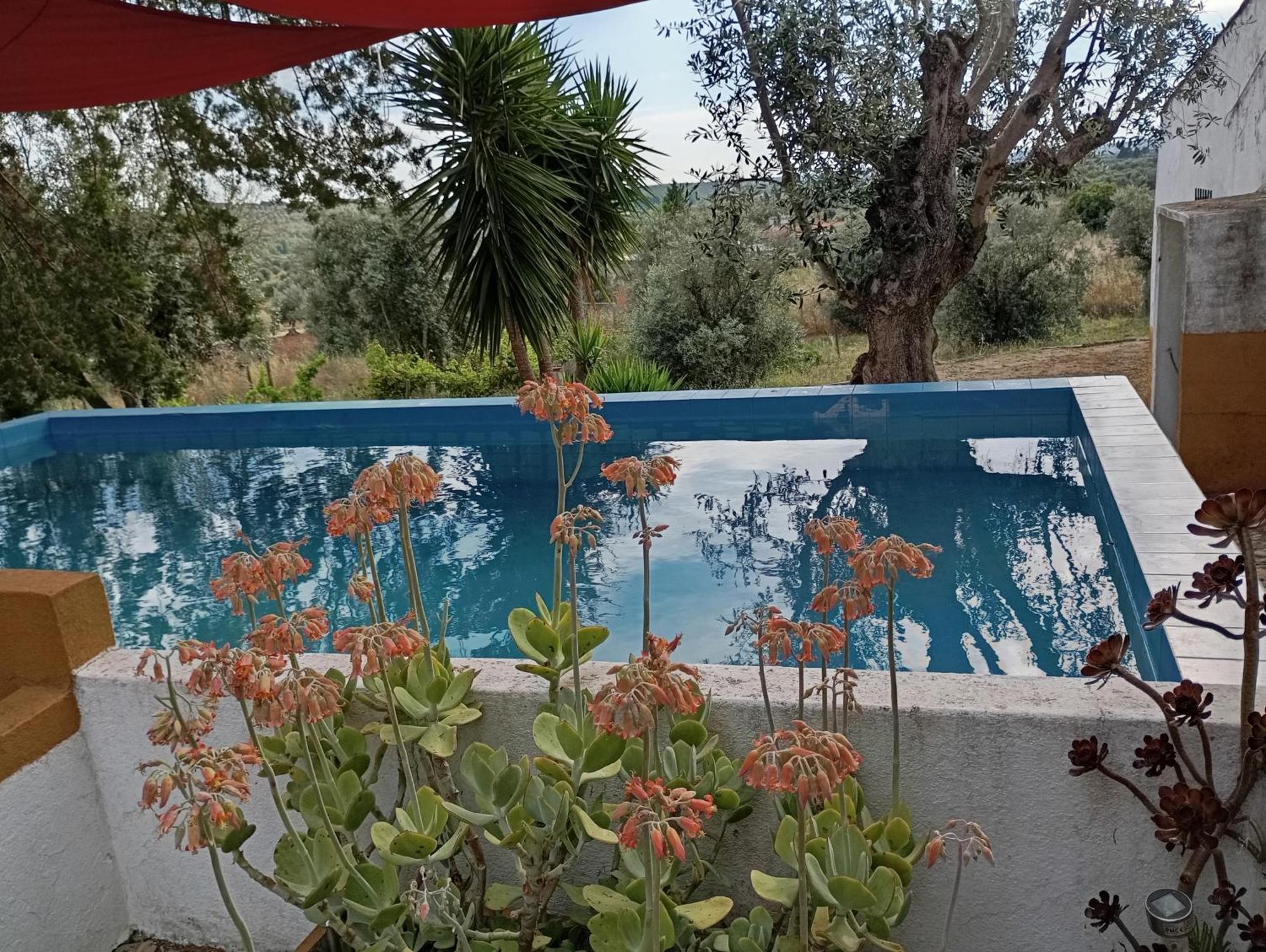 Monte Da Samarra Villa Avis Kültér fotó