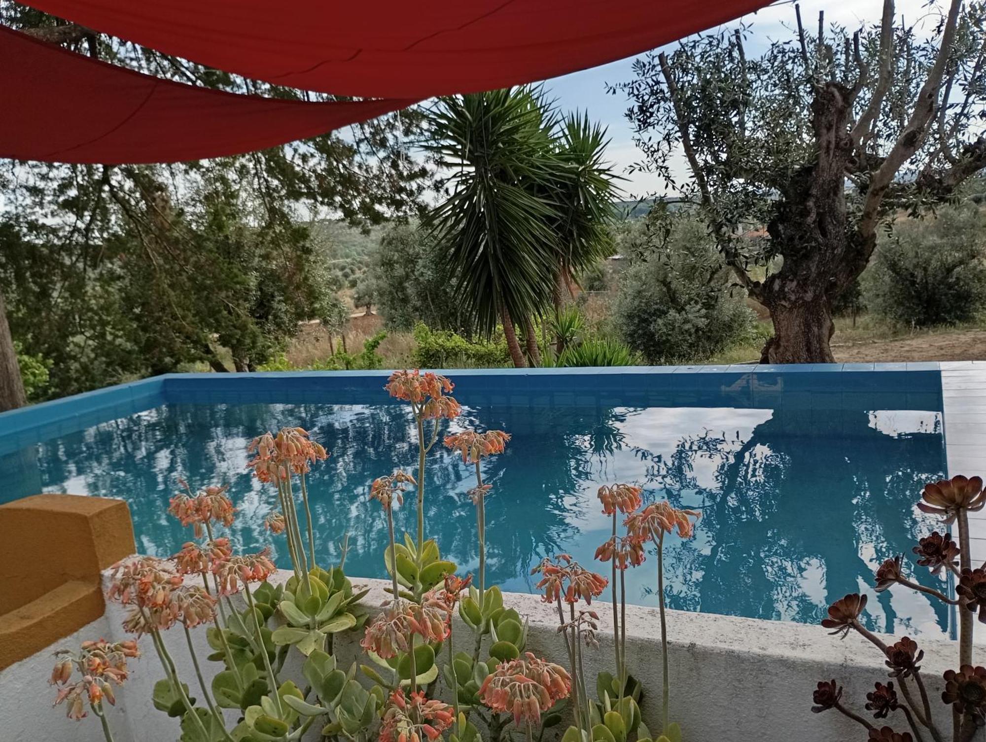 Monte Da Samarra Villa Avis Kültér fotó